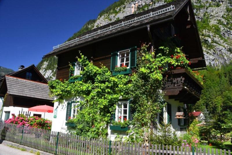 B&B Haus Hemetzberger Hallstatt Eksteriør billede